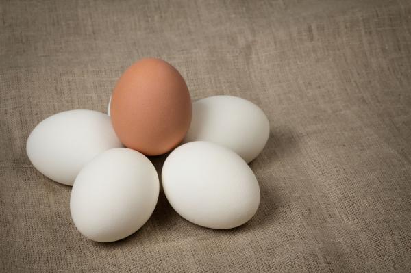 这5条关于营养的所谓真理，营养学家不赞同