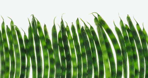 这5条关于营养的所谓真理，营养学家不赞同