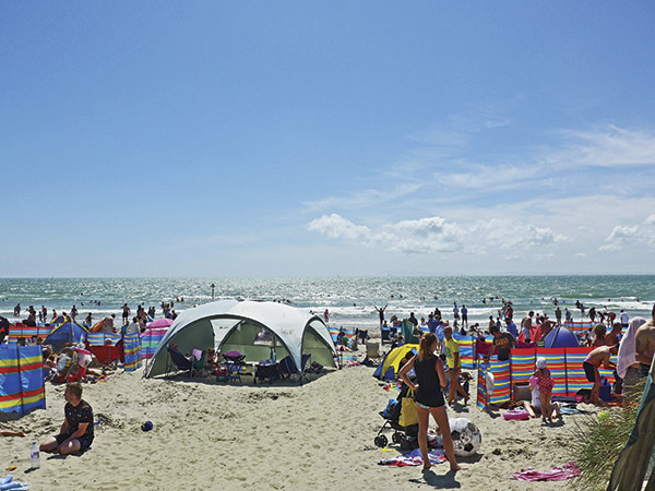 微醺西萨塞克斯