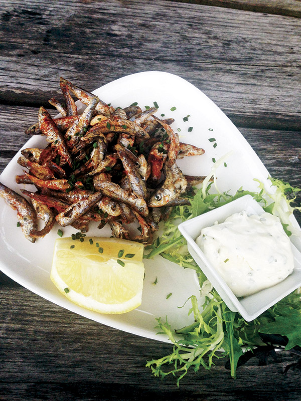 微醺西萨塞克斯