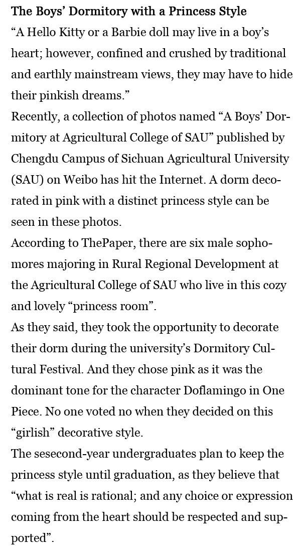 每日一词：公主风男寝室