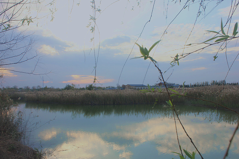 泗洪沭阳 136_副本.jpg