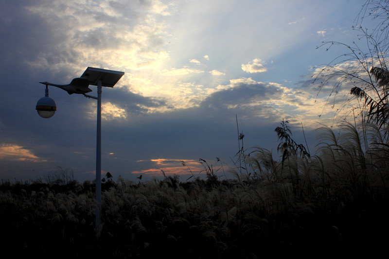 泗洪沭阳 134.JPG