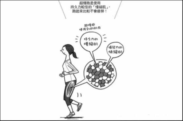 跑得越快越牛？“超慢跑”的N个惊人效果你敢尝试吗
