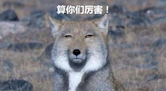 澎湃联播|你追我，如果你追到我，嘿嘿嘿