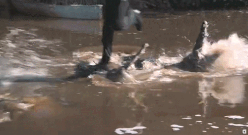 007的神技究竟是鬼扯还是现实？让技术控来帮你分析