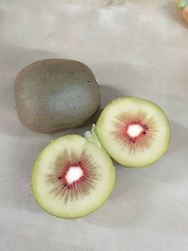 奇异果：学成归来的猕猴桃