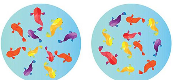 经过艺术家的手笔，马路上的绚丽画面只有在雨中才出现