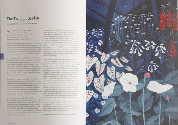 你一定爱看的小清新旅行杂志