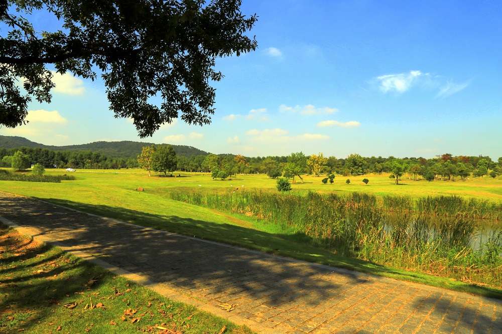 IMG_9194 - 副本.JPG