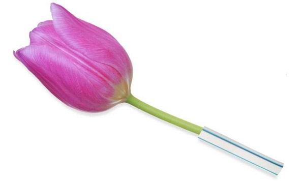 15个最常见日用品，却隐藏了神奇的妙用