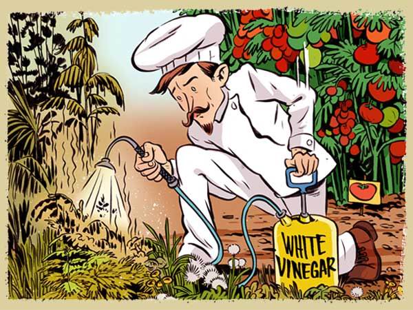 15个最常见日用品，却隐藏了神奇的妙用