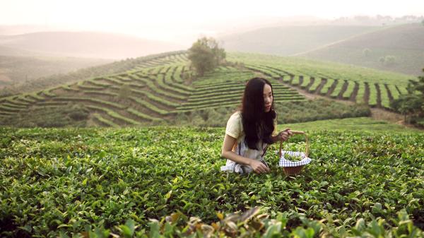 专访｜曹方：走了很长一段路，然后到达家乡