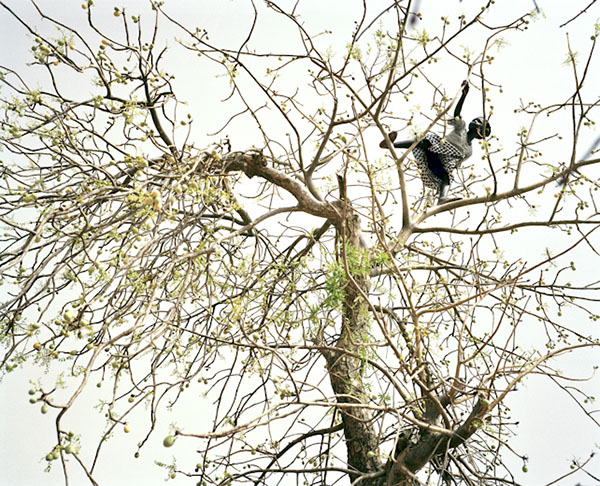 眼光|有一个女人举着相机不远万里，去做集体记忆的藏家