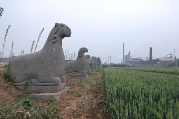 看展览| 一个瑞士人和一个台湾人代我们回了一趟故乡