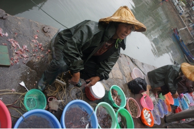 我看厦门港送王船：闽南人怎么过海洋狂欢节
