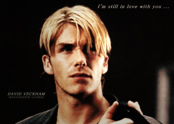 这些年，我们看着小贝的脸长大