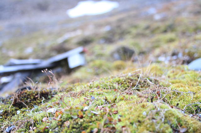 【气候与变化】科学人编辑亲探“末日种子库”：这儿，是种子的避难所