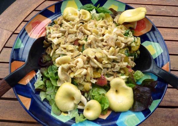 食草动物再也不用每天啃色拉了，素食者必去的10个天堂