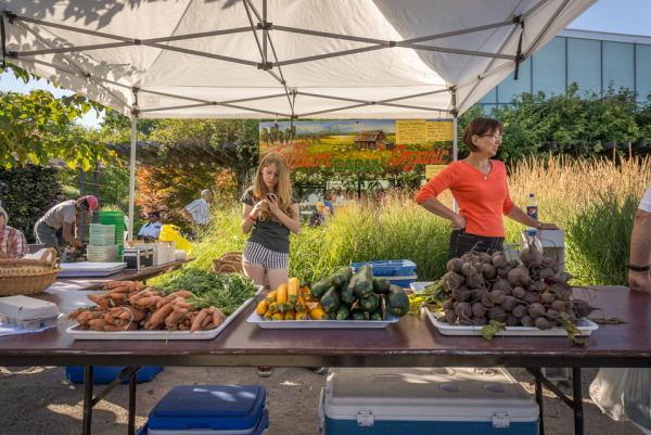 食草动物再也不用每天啃色拉了，素食者必去的10个天堂