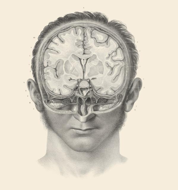 这些19世纪的外科手术图画，会不会让你庆幸自己活在现代？