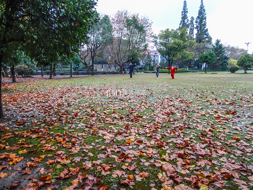 西风起气温降  博物苑里落日美 (2).jpg