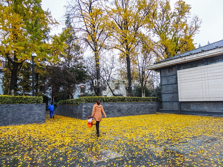 西风起气温降  博物苑里落日美 (3).jpg