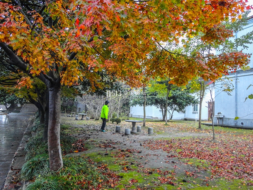 西风起气温降  博物苑里落日美 (7).jpg