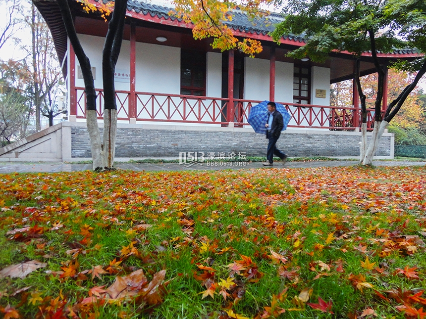 西风起气温降  博物苑里落日美 (6).jpg