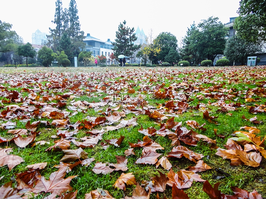 西风起气温降  博物苑里落日美 (8).jpg