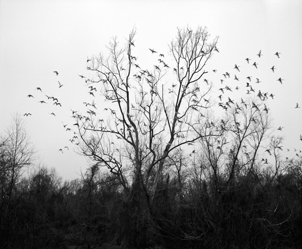 眼光| 你不能在一夜之间组建阿尔巴尼亚，一千零一夜也不能