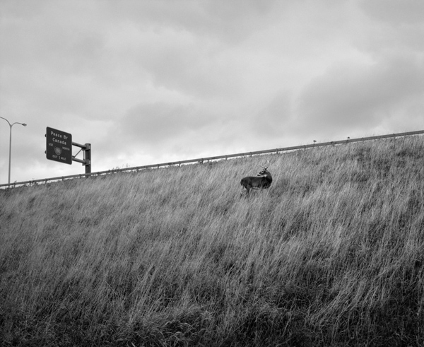 眼光| 你不能在一夜之间组建阿尔巴尼亚，一千零一夜也不能