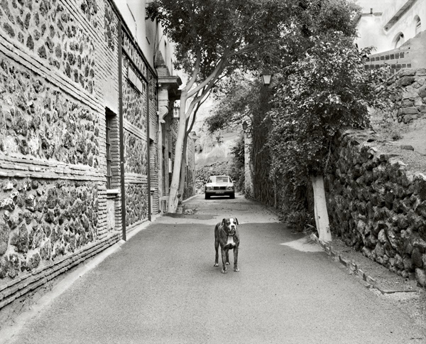 眼光| 你不能在一夜之间组建阿尔巴尼亚，一千零一夜也不能