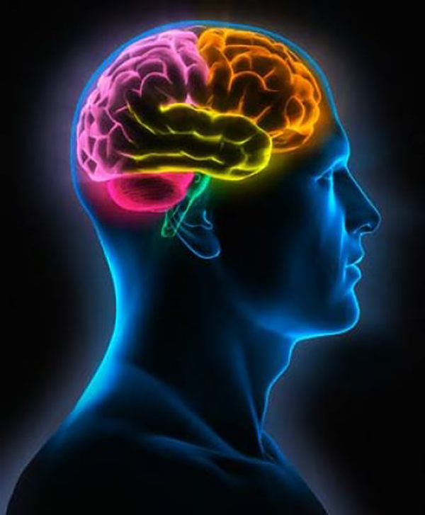 记忆会用各种隐藏的方法，在脑海中形成偏差