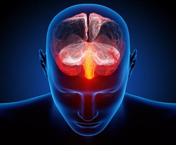 记忆会用各种隐藏的方法，在脑海中形成偏差