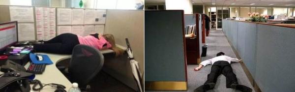 为了在办公室里睡一觉，上班狗们容易吗！