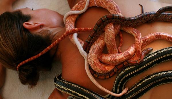 用蛇按摩洗啤酒浴，最另类的八种Spa，你敢试试吗？