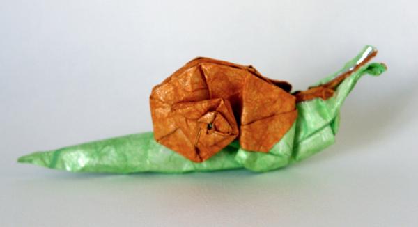 堪称“神”级别的折纸，照着视频做竟然也学得会