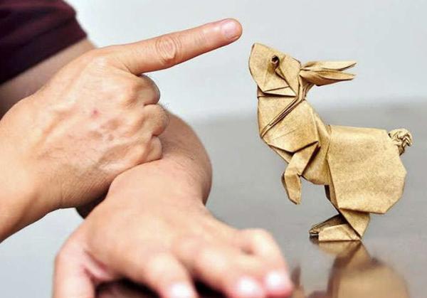 堪称“神”级别的折纸，照着视频做竟然也学得会