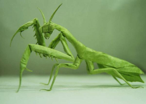 堪称“神”级别的折纸，照着视频做竟然也学得会