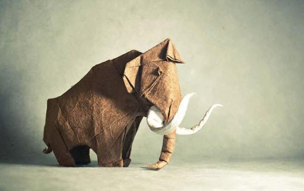 堪称“神”级别的折纸，照着视频做竟然也学得会