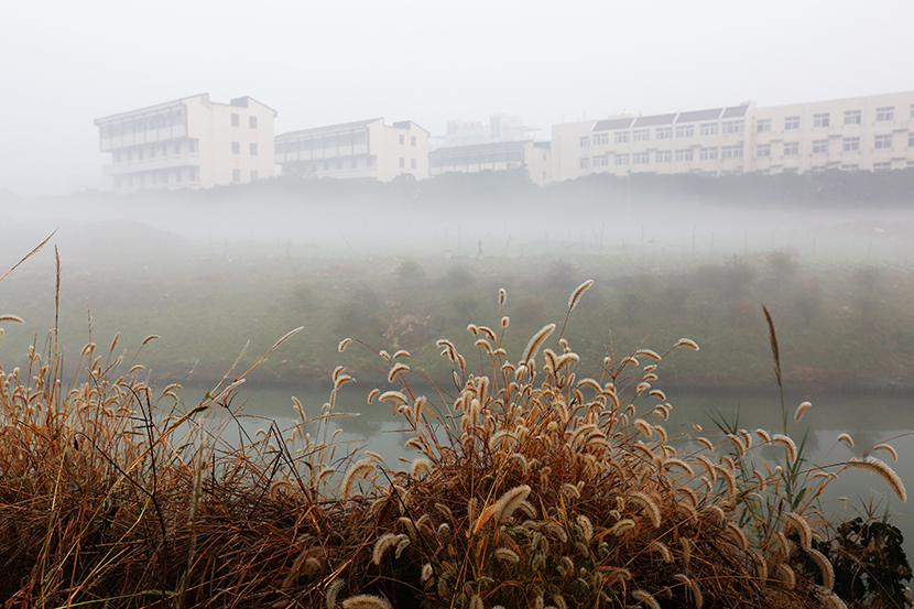 寒雾落通城  (1).jpg