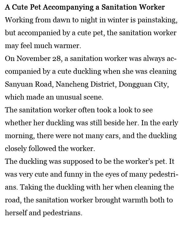 每日一词：萌宠陪扫街