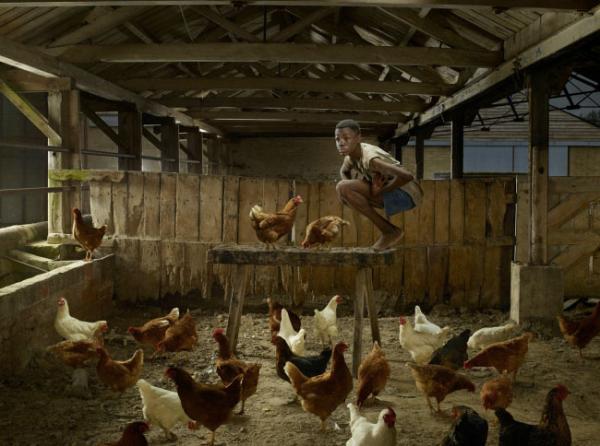 这些野孩子的照片让人心碎，背后的故事更发人深省