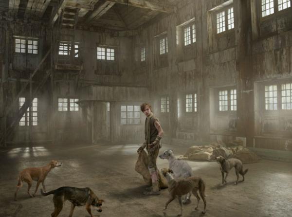 这些野孩子的照片让人心碎，背后的故事更发人深省