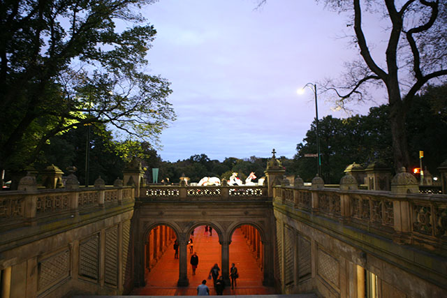 [私家现场]在中央公园遇见非洲、音乐、舞蹈和宝丽莱