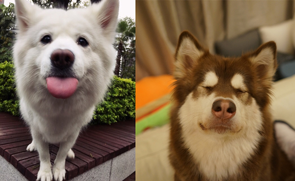 澎湃联播|世界是我们和你们的，可终究是网红的