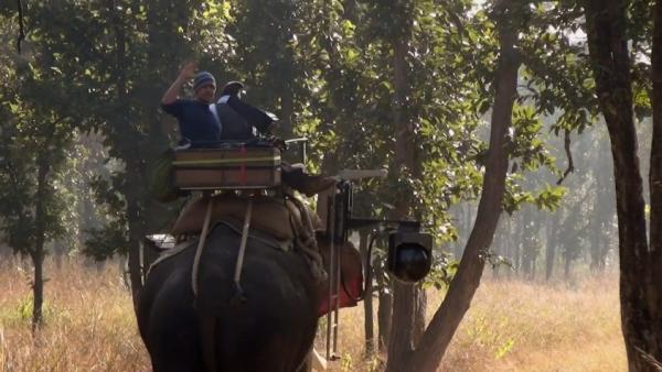 BBC纪录片《猎捕》：动物们已集体成精！