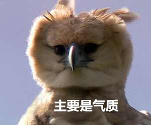 BBC纪录片《猎捕》：动物们已集体成精！