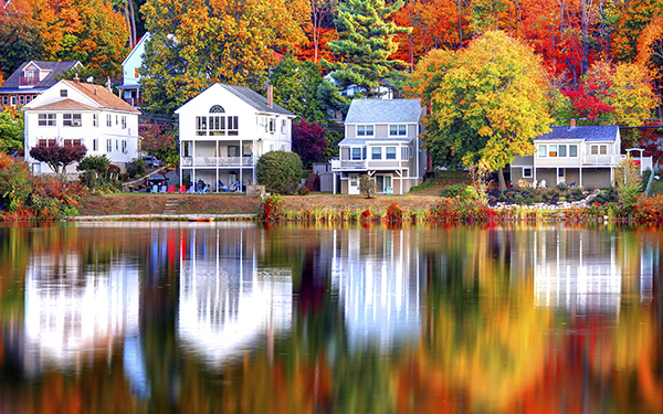 冻成狗的你，是否思念那美不胜收的秋？